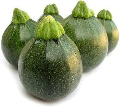 Summer Squash Seeds