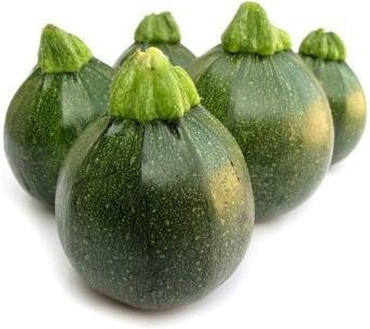 Summer Squash Seeds
