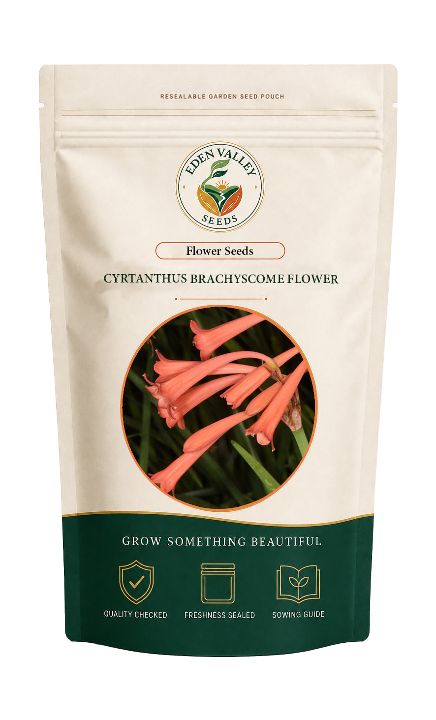 Cyrtanthus Brachyscyphus Flower Seeds for home gardens