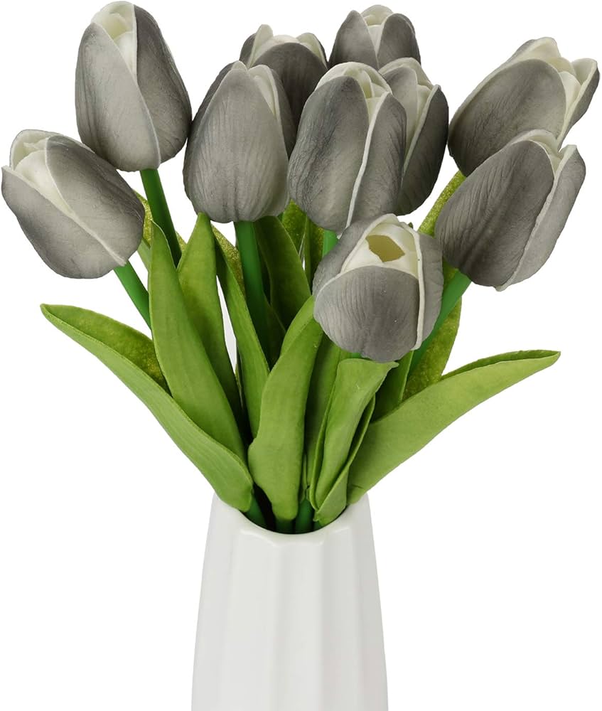Dark Gray flower seeds