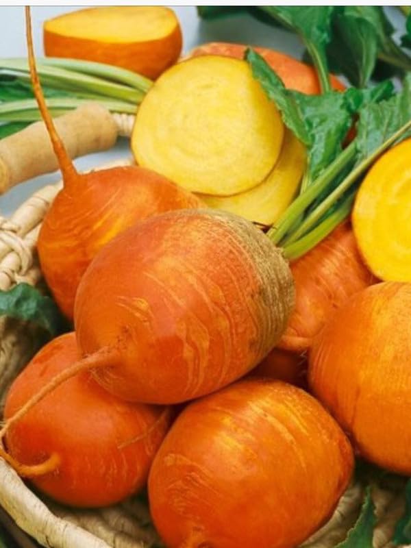 Orange Radish Seeds