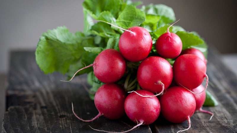 Pink Radish Seeds for Planting – Heirloom Non-GMO Garden Seeds