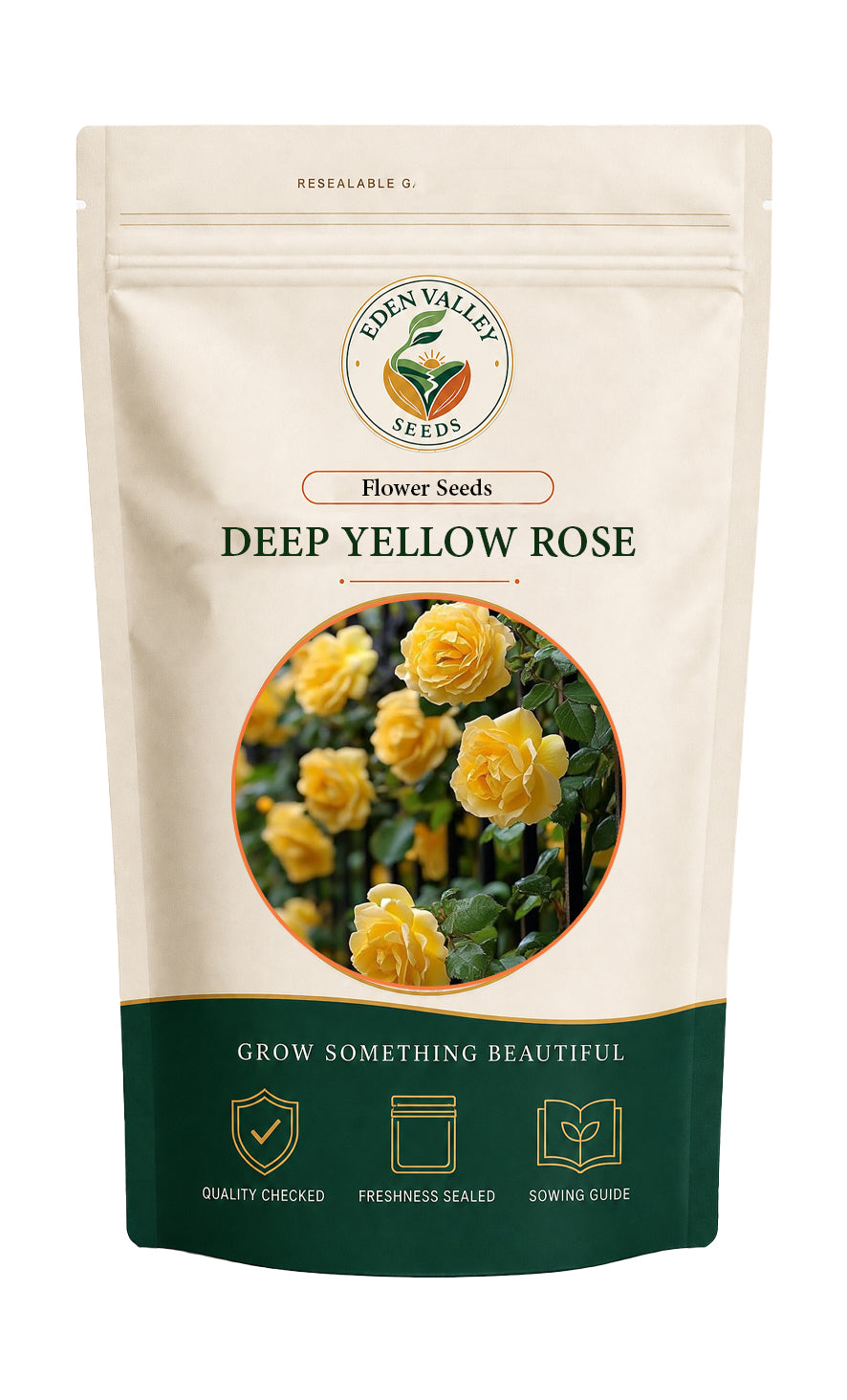 Deep Yellow Rose blooming in a garden