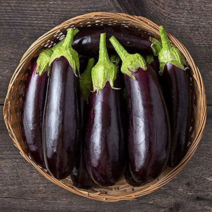 Diamond Eggplant Seeds