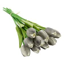 Dark Gray flower seeds
