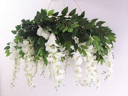 Silver Chandelier flower seeds