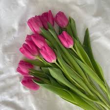 Deep Pink flower seeds