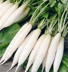 White Radish Seeds for Planting – Heirloom Garden Seeds
