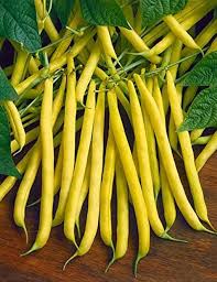 Yellow Wax Bean Seeds