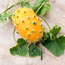 Horned Melon Seeds