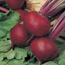 Red Beetroot Seeds for Planting – Heirloom Non-GMO Garden Seeds