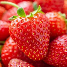Alpine Strawberry Fruit Seeds for Planting – Heirloom Non-GMO Garden Seeds