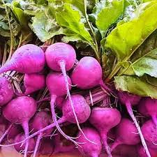 Purple Radish Seeds
