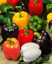 Bell Pepper Seeds