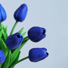 Deep Blue flower seeds