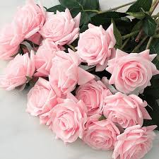 Light Pink flower seeds