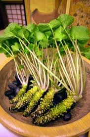 Wasabi Seeds