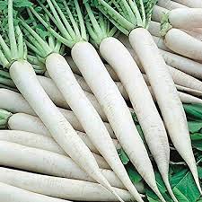 Radish Seeds