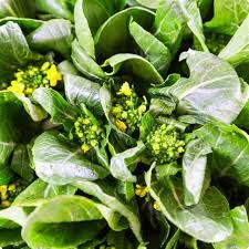 Yu Choy Sum Seeds