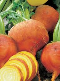 Orange Beet Seeds