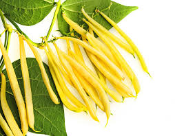Yellow Bean Seeds for Planting – Heirloom Non-GMO Garden Seeds