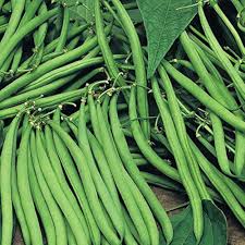 Snap Bean Seeds