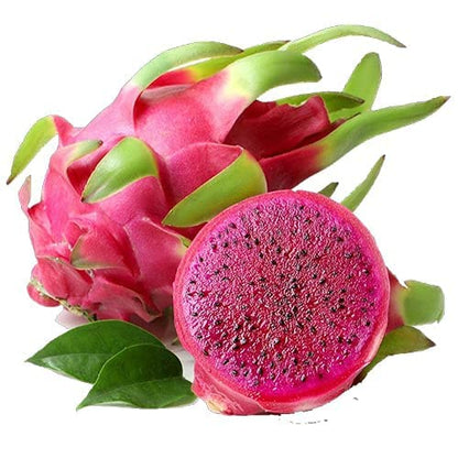 Pitaya Fruit Seeds for Planting – Heirloom Non-GMO Garden Seeds