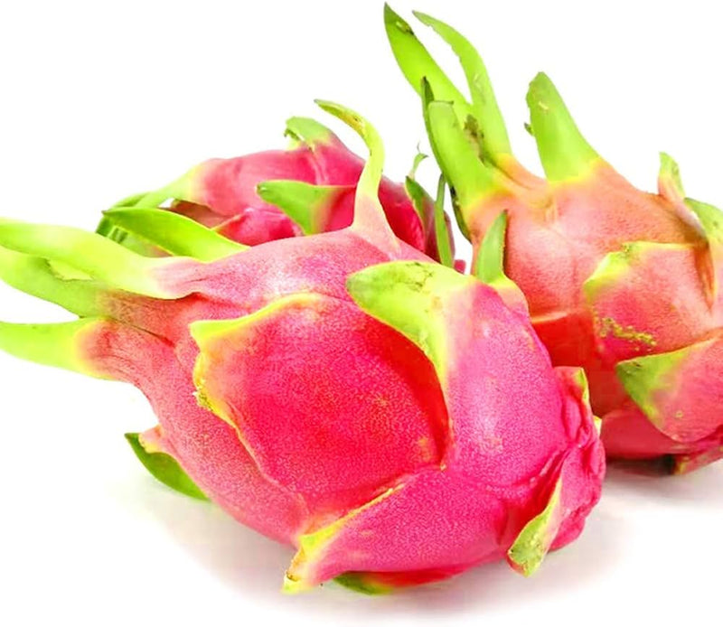 White Pitaya Dragon Fruit Seeds for Planting – Heirloom Non-GMO Garden Seeds