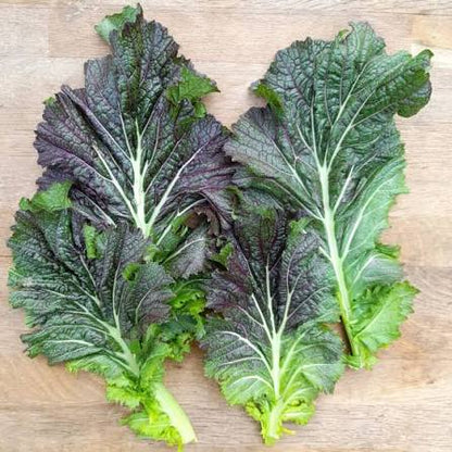 Dragon Tongue Mustard Greens