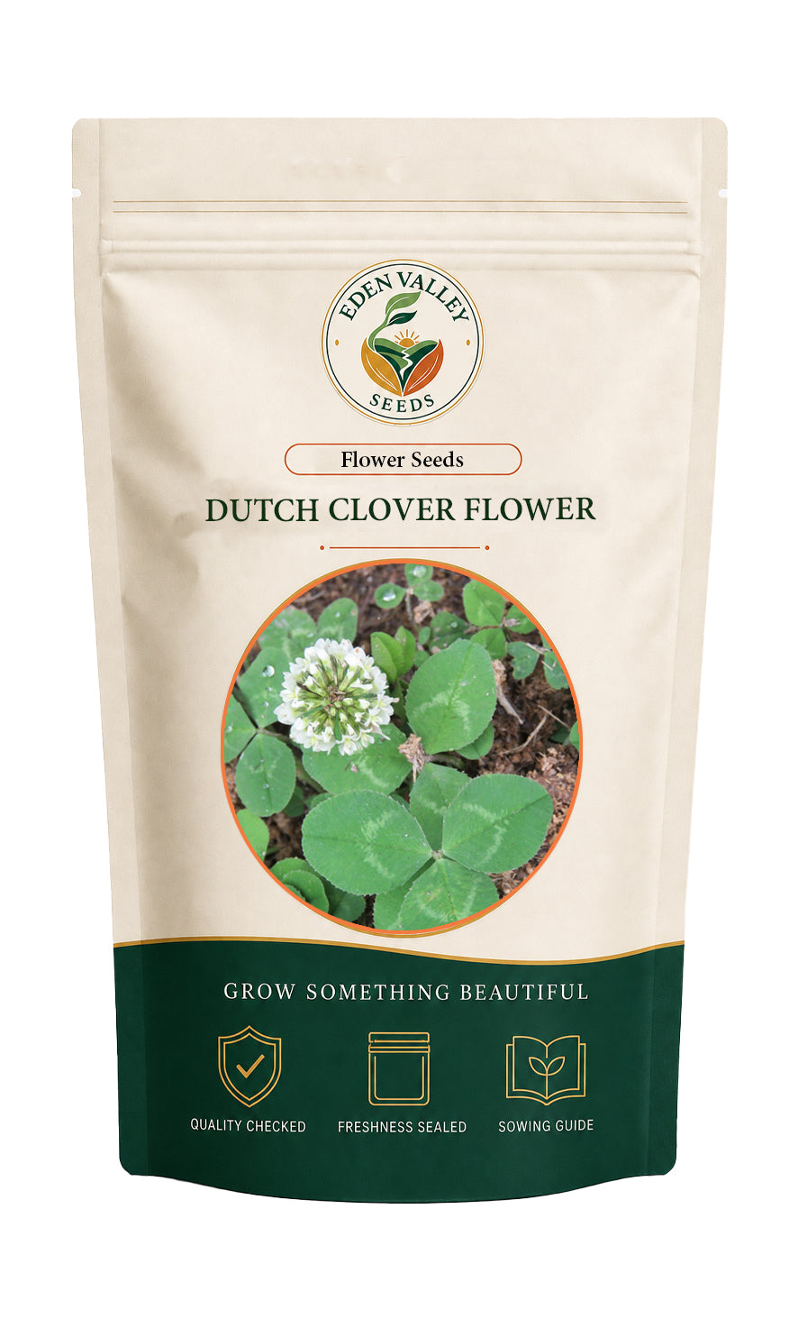 Dutch Clover flowers blooming in a garden