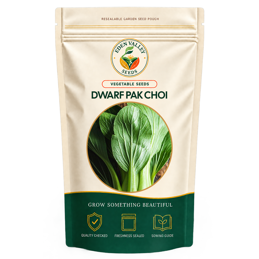 Dwarf Pak Choi Seeds for planting