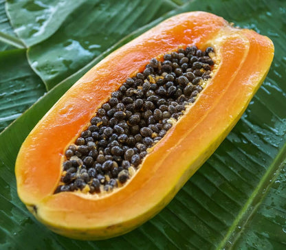 papaya fruit seeds