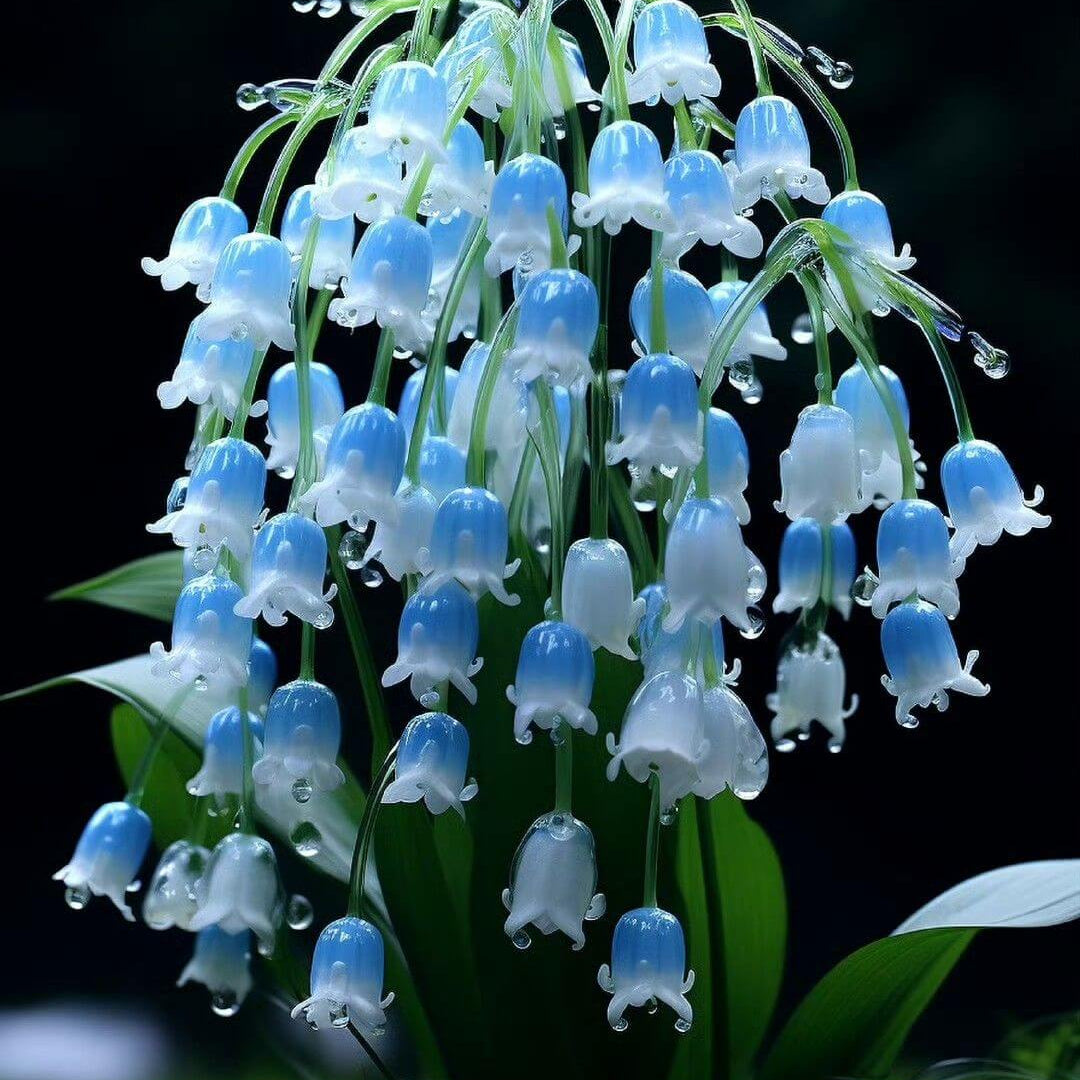 of the Valley plant