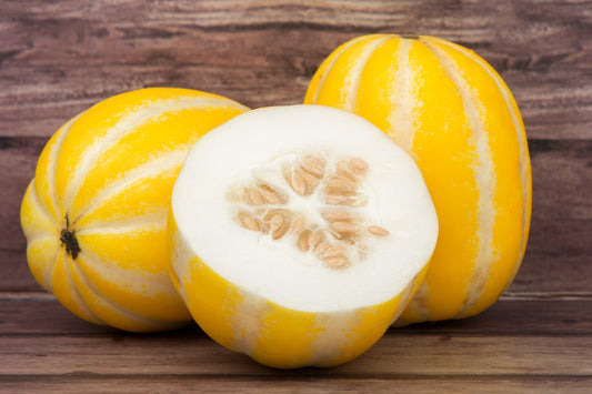 Early Silver Line Melon Cucumis melo Fruit Seeds for Planting – Heirloom Non-GMO Garden Seeds