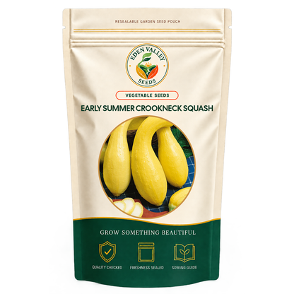 Early Summer Crookneck Squash Seeds for home gardens