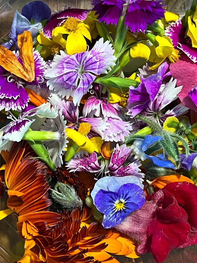 Edible flower seeds