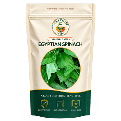 Egyptian Spinach Seeds for planting