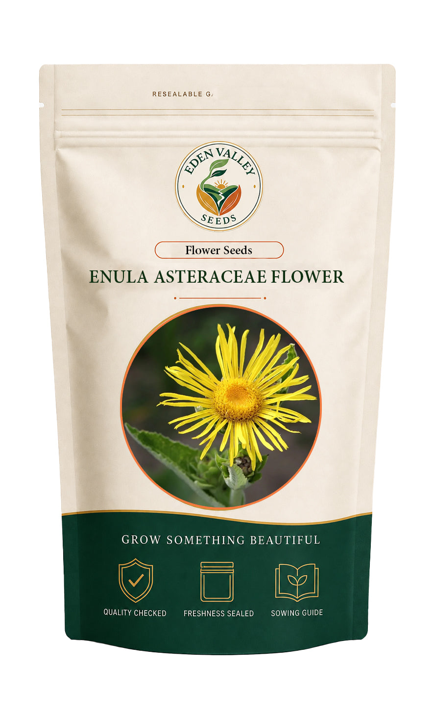 Enula Asteraceae Flower Seeds for home gardens