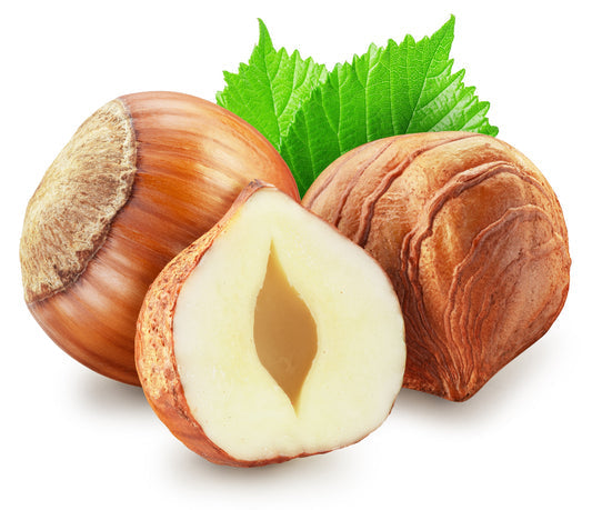 european hazelnut seeds