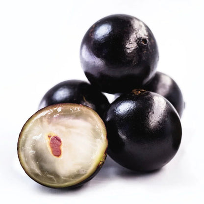black jabuticaba seeds