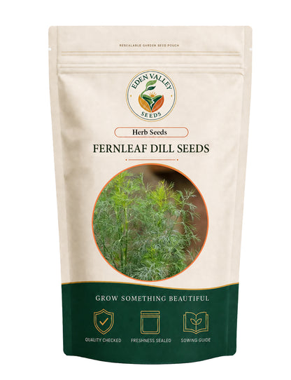 Fernleaf Dill Herb Seeds for Planting with delicate feathery green foliage