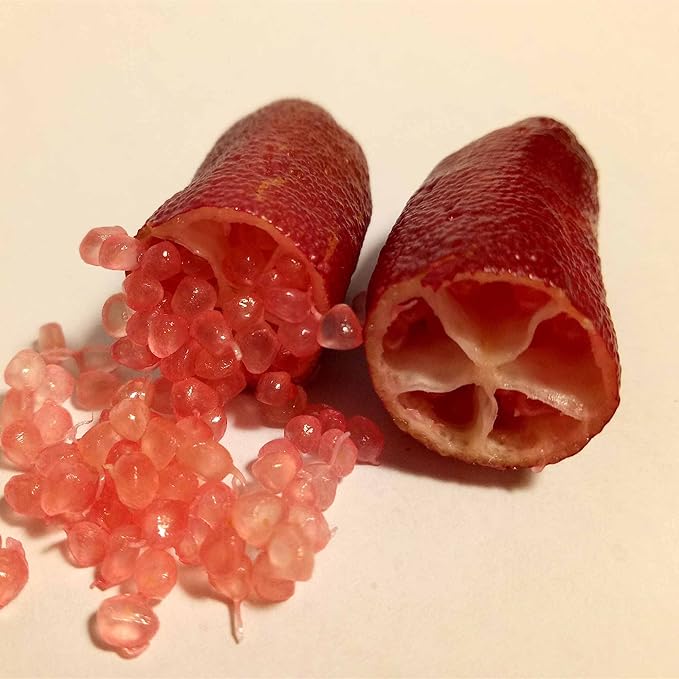 Ice Pink Finger Lime Fruit Seeds for Planting – Heirloom Non-GMO Garden Seeds