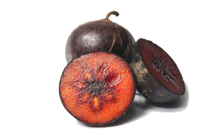 Ramontchi fruit plant with glossy green leaves, thorny branches, and clusters of ripe reddish-purple fruits growing in a tropical garden.