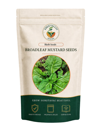 Florida Broadleaf Mustard Seeds for Planting – Fresh Green Mustard Greens