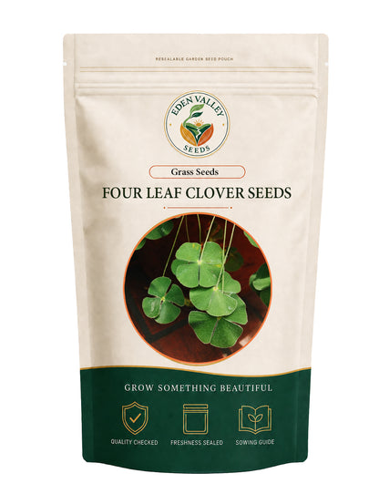 Four Leaf Clover Grass Seeds for Planting – Green Clover Grass Seeds