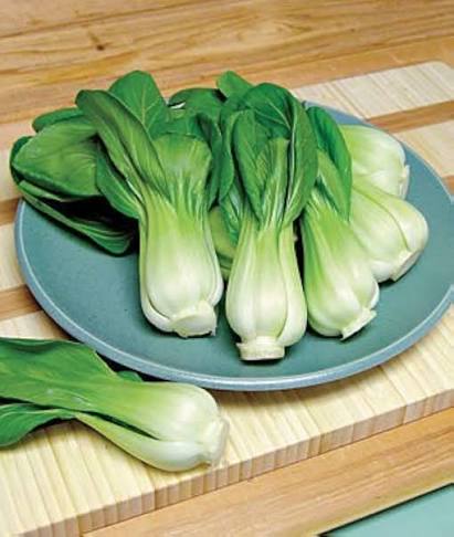 Green Bok Choy Leaves with Crisp White Stems