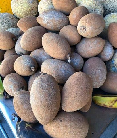 Fresh mamey sapote seeds and ripe tropical mamey fruits with rough brown skin and creamy reddish-orange flesh, showcasing a tropical fruit tree variety.