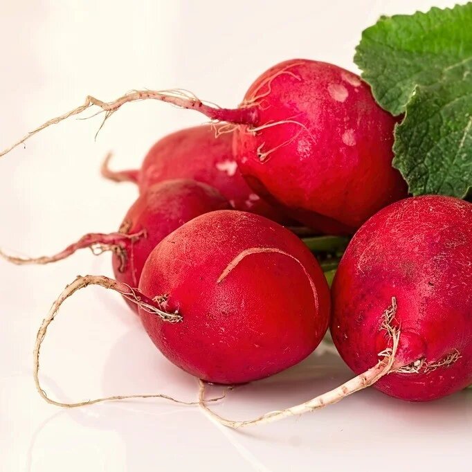 Red turnips growing in a home vegetable garden