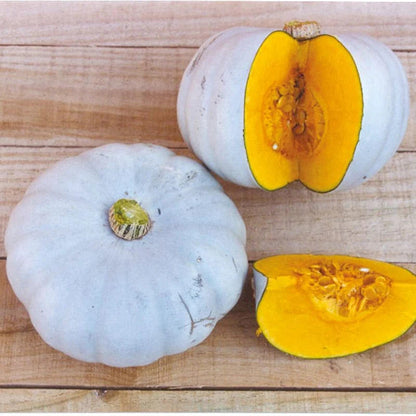 Sweet Winter Squash Seeds for Planting – Heirloom Non-GMO Garden Seeds