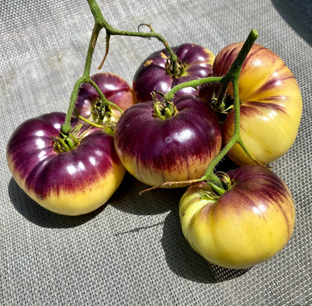 Yellow Black Tomato Seeds